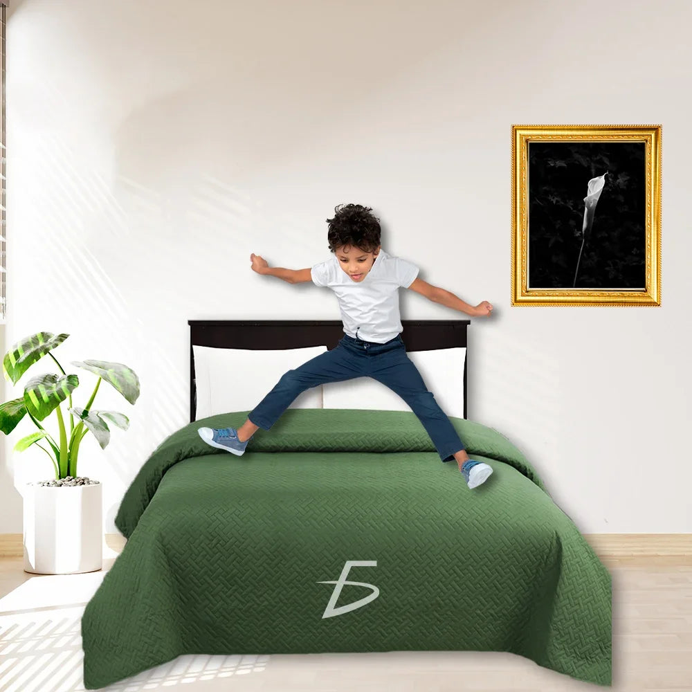 [GD] Kise Queen Size Soft Microfiber Quilt Bedspread Quilt Coverlet, Variety of Colors / 260x220cm