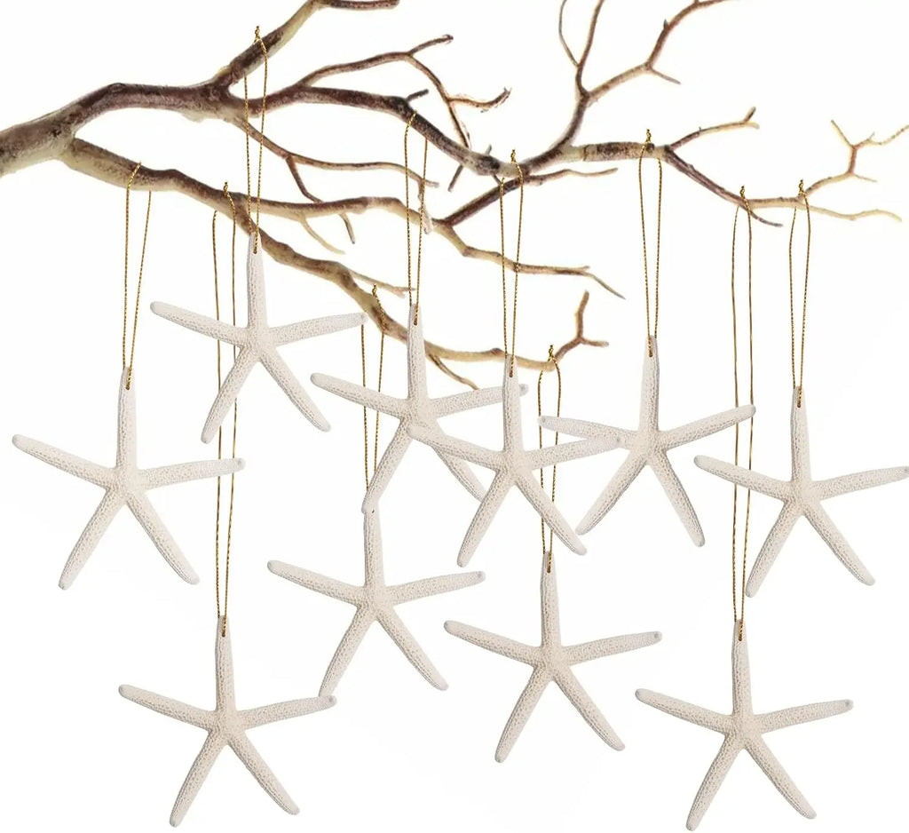 20 PCS Christmas Starfish Hanging Ornaments 3-4'' Natural Starfish with Rope