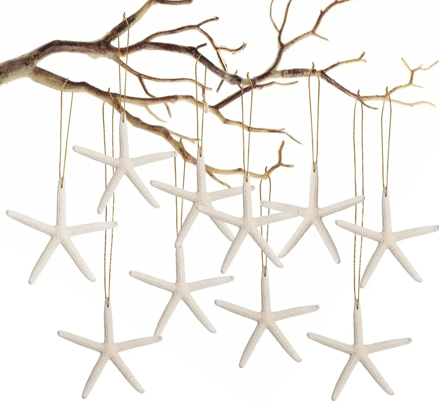 20 PCS Christmas Starfish Hanging Ornaments 3-4'' Natural Starfish with Rope