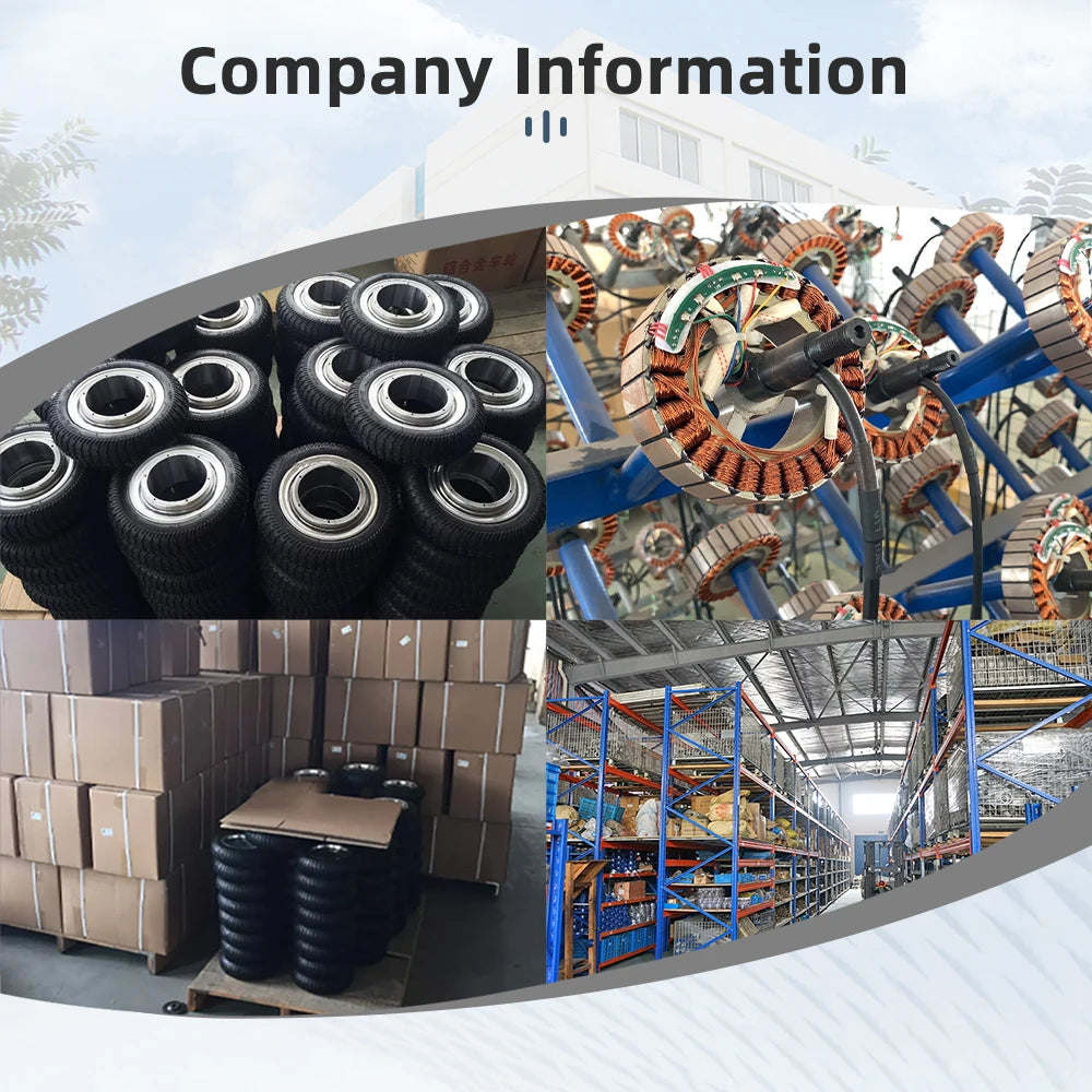 16 Inch 48V 500W High Torque Hub Motor Low Speed Hub Drive Electric Motor Kit With Battery for Agricultural Vehicles