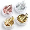 2024 New Nail Art Decoration Sparkling Powder Series DIY Other Nail Products Silver Foil & Powder Star Nail Supplies