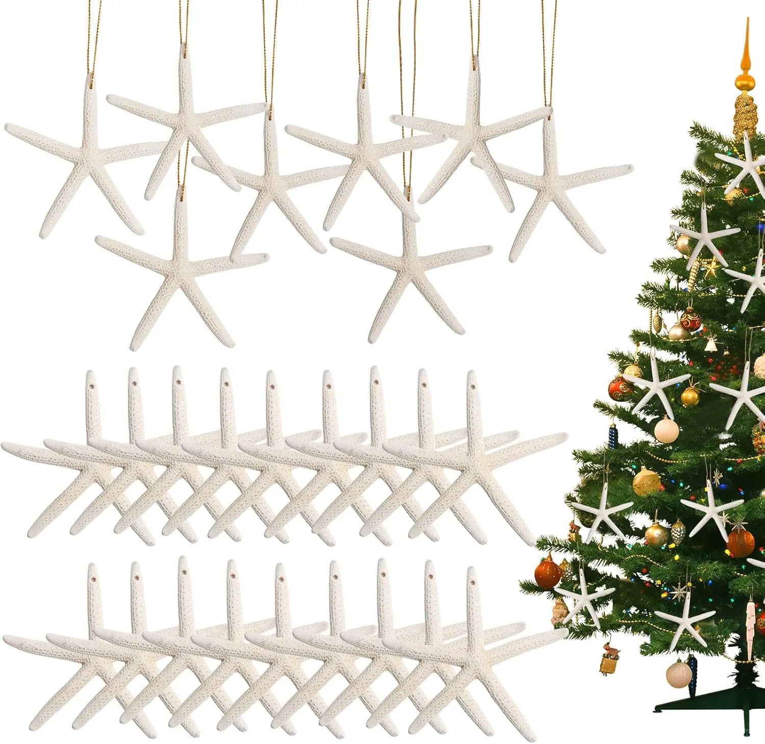 20 PCS Christmas Starfish Hanging Ornaments 3-4'' Natural Starfish with Rope
